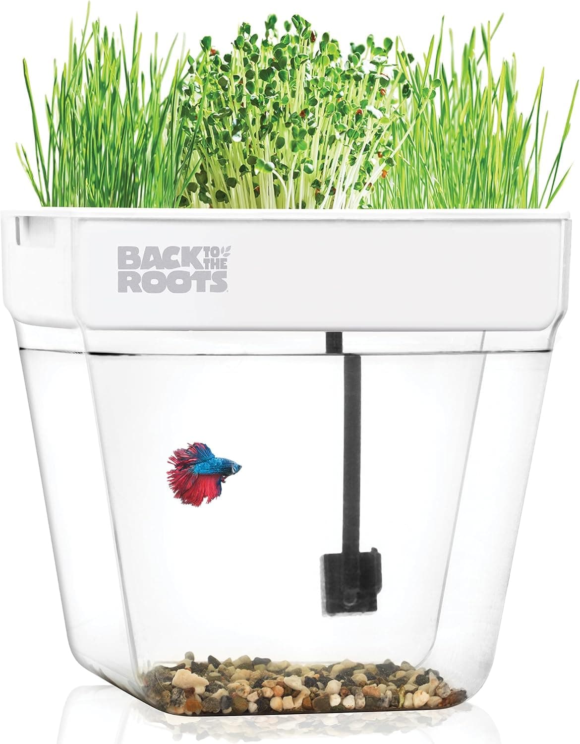 Back to the Roots Indoor Aquaponic Garden
