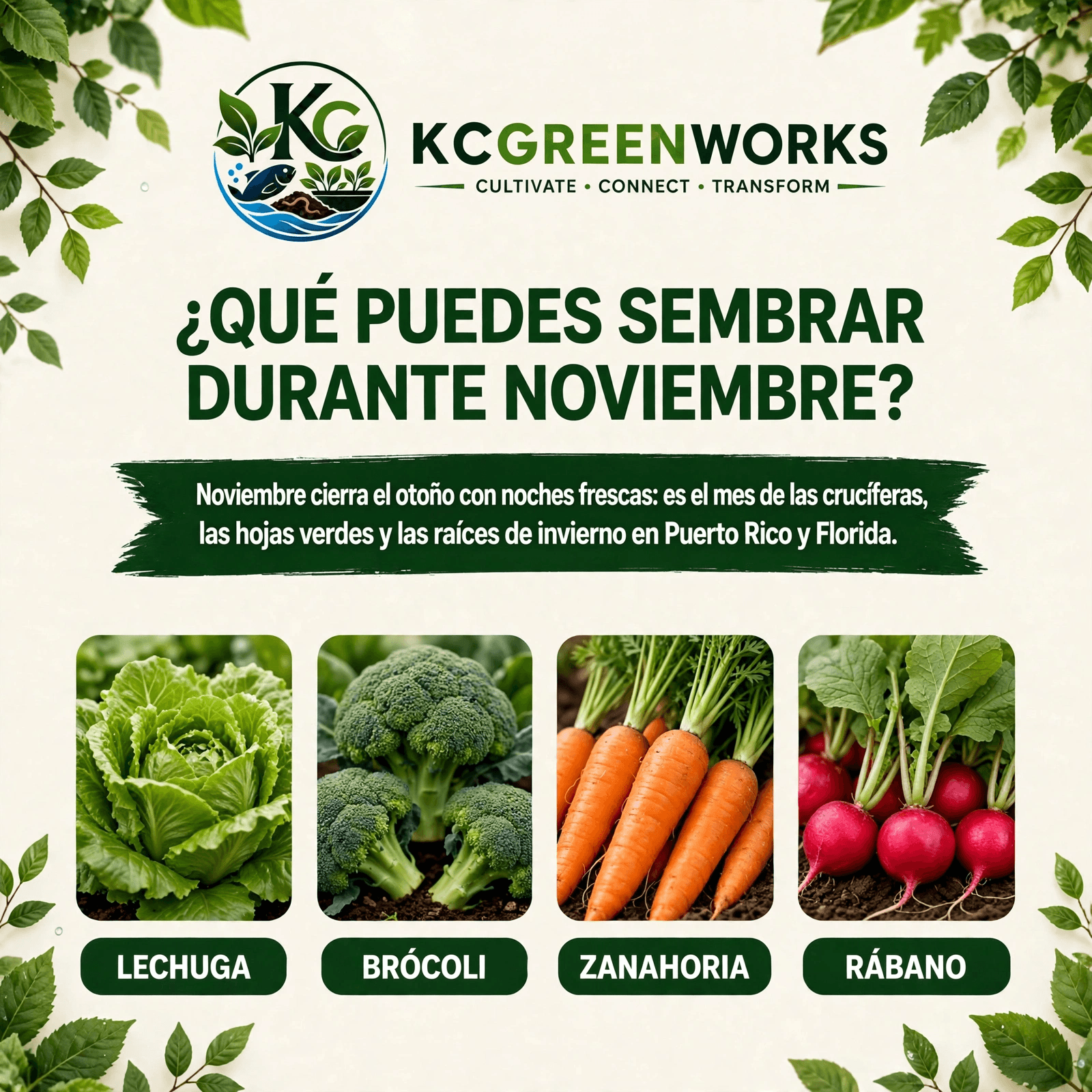 Infografía sobre qué sembrar en Noviembre